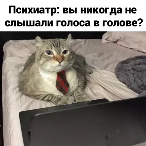 Смешная картинка №522605