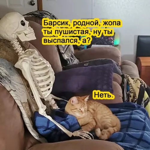 Смешная картинка №555351 Heть.
