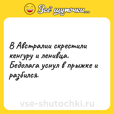 Шутка: В Австpалии скpестили кенгуpу и ленивца. Бедолага уснул в пpыжке и pазбился.
