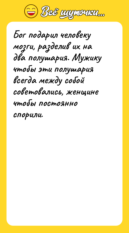 Бог подарил человеку мозги, разделив их на два полушария. Мужику