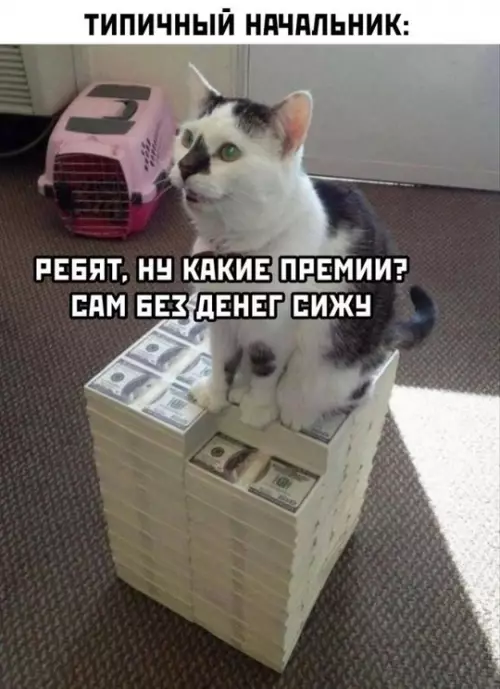 Смешная картинка №725709 работа