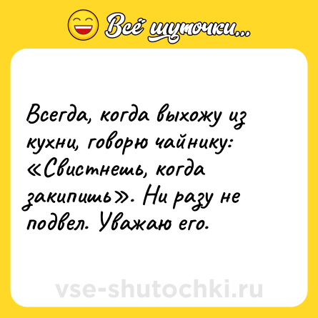 Шутка: Всегда, когда выхожу из кухни, говорю чайнику: «Свистнешь, когда закипишь». Ни разу не подвел. Уважаю его.