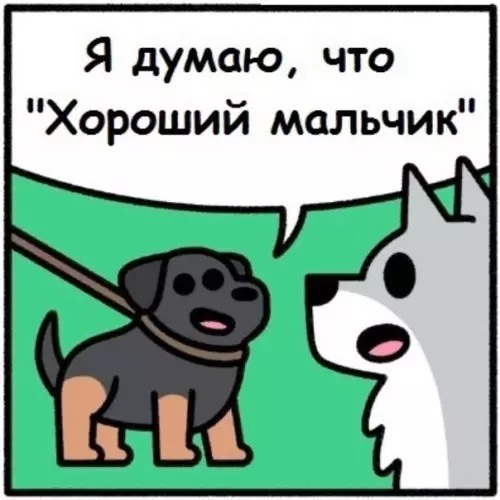 продолжение Смешная картинка №572358 Совпадение? Не думаю
