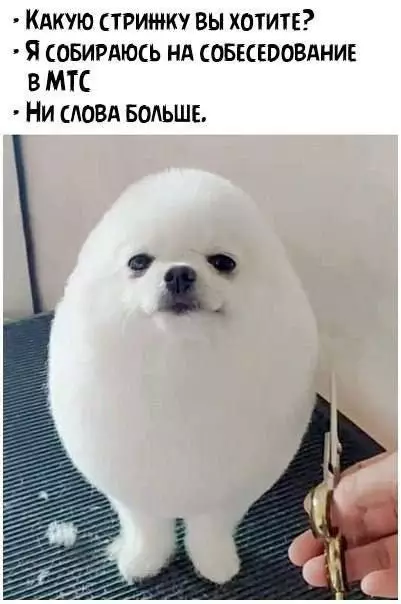 Смешная картинка №768185
