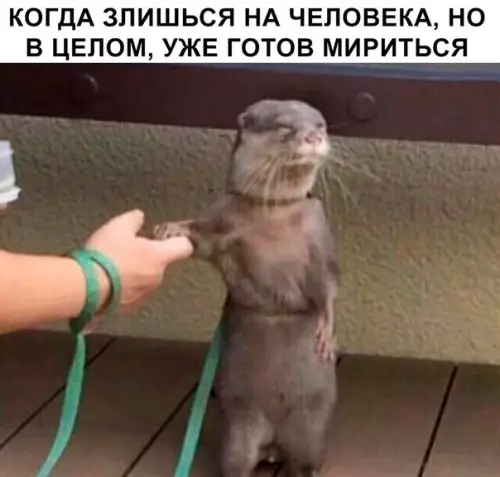 Смешная картинка №284384