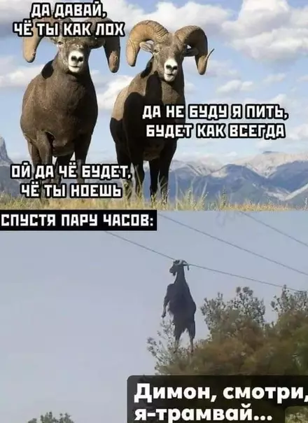 Смешная картинка №535447