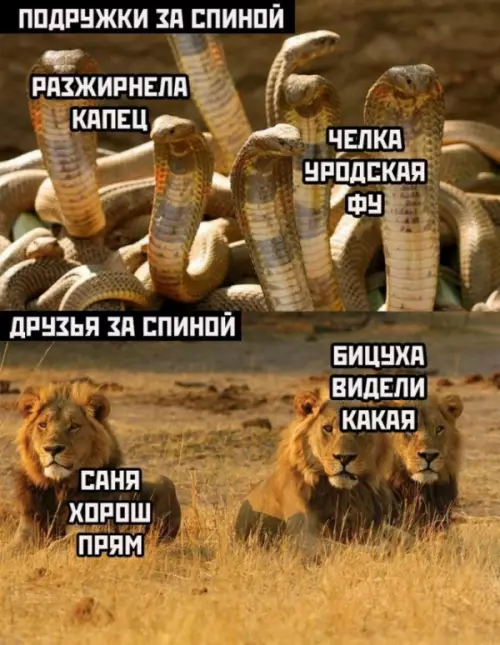 Смешная картинка №656782