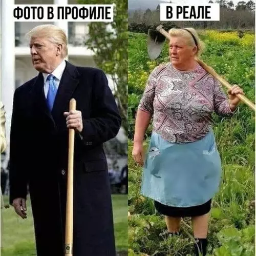 Смешная картинка №311620 Соцсети - такие соцсети ?