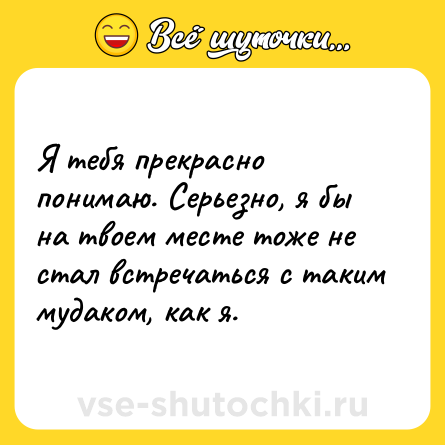 Шутка: Я тебя прекрасно понимаю. Серьезно, я бы на твоем месте тоже не стал встречаться с таким мудаком, как я.