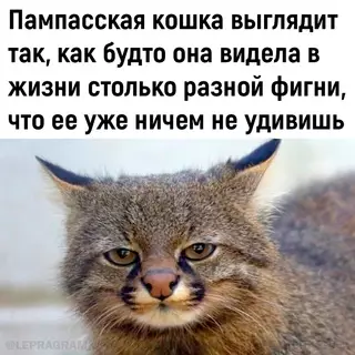 Смешная картинка №701107