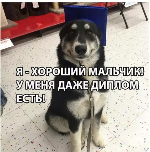 Смешная картинка №285601