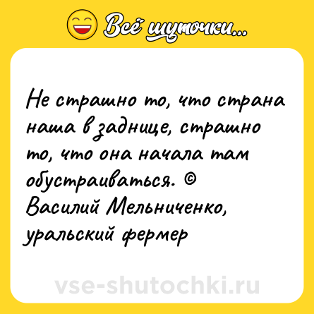 Шутка: Не страшно то, что страна наша в заднице, страшно то, что она начала там обустраиваться. © Василий Мельниченко, уральский фермер