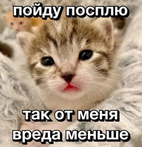 Смешная картинка №743330