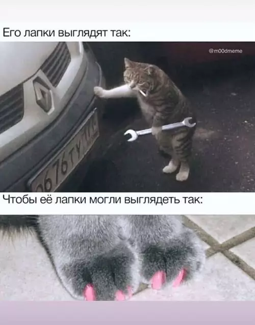 Смешная картинка №772915