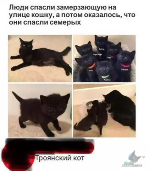 Смешная картинка №322754 ?❤️