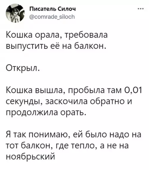 Смешная картинка №610291 Кошки