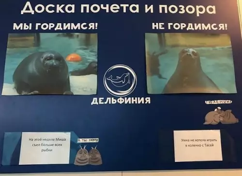 Смешная картинка №566984
