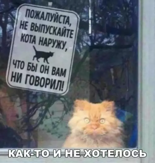 Смешная картинка №263668