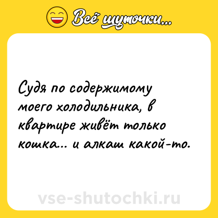 Шутка: Судя по содержимому моего холодильника, в квартире живёт только кошка… и алкаш какой-то.