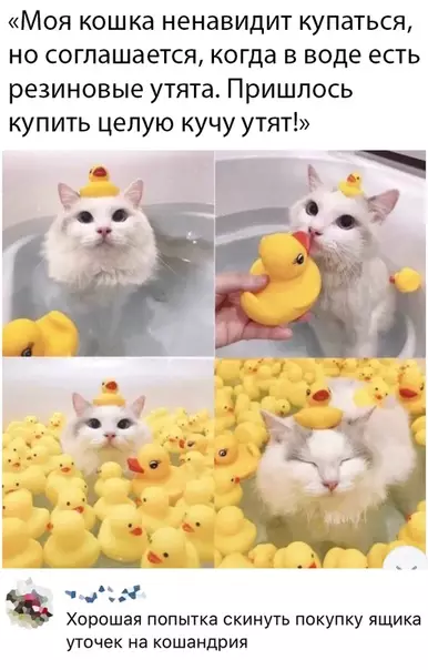 Смешная картинка №479036