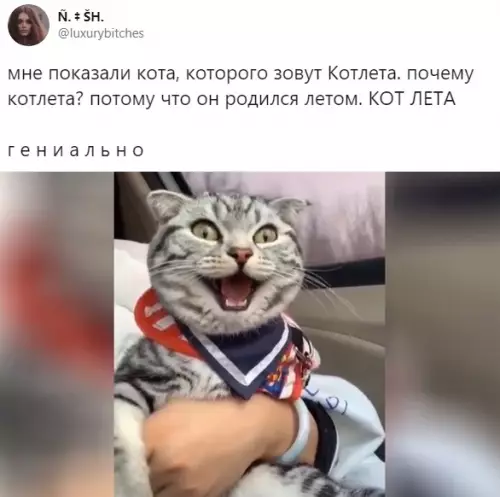 Смешная картинка №504018 Г - гениально