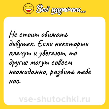 Шутка: Не стоит обижать девушек. Если некоторые плачут и убегают, то другие могут совсем неожиданно, разбить тебе нос.