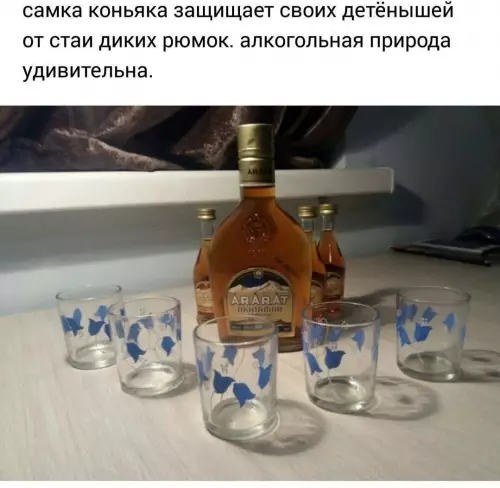 Природа — мать! 🥃🦁 - самка коньяка защищает своих детёнышей от стаи диких рюмок. алкогольная
