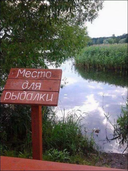 Смешная картинка №731383 Приходи поплакать надписи
