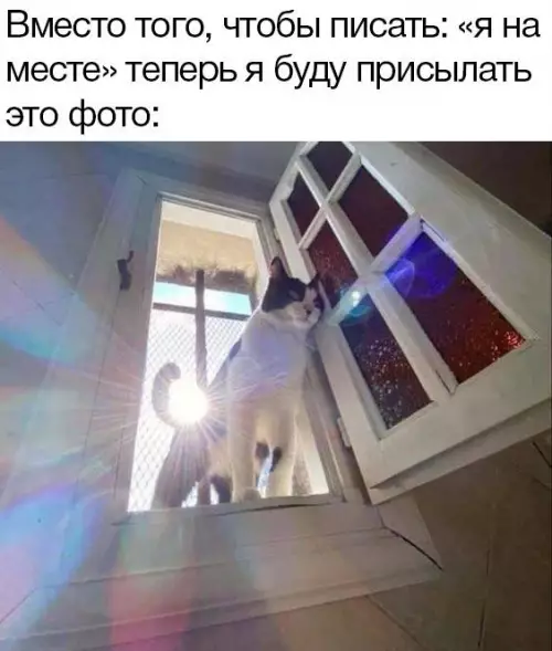 Смешная картинка №716901
