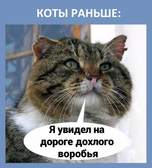 Смешная картинка №586459 Нет слов, одни только эмоции
