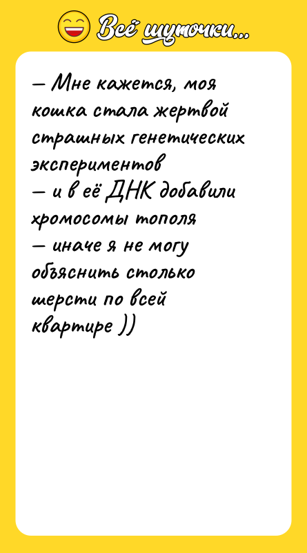 Мне кажется, моя кошка стала жертвой страшных генетических экспериментов