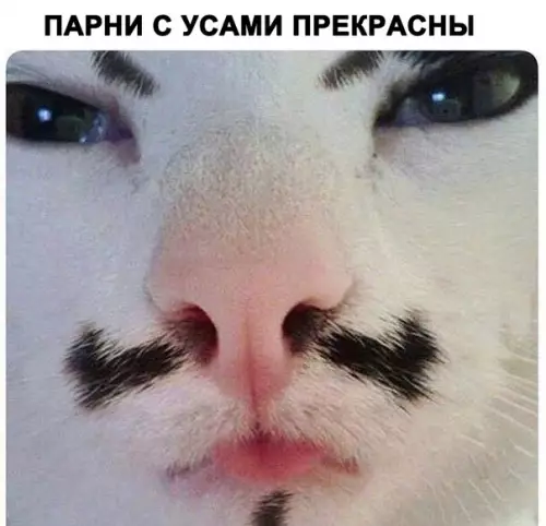 Смешная картинка №285188