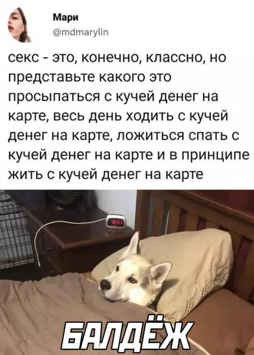 Смешная картинка №635244