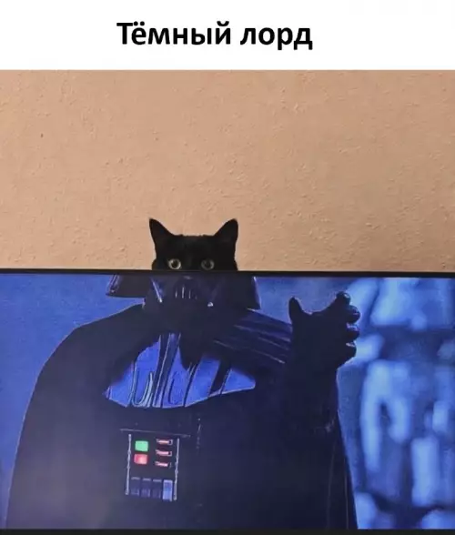 Тёмный лорд с котом