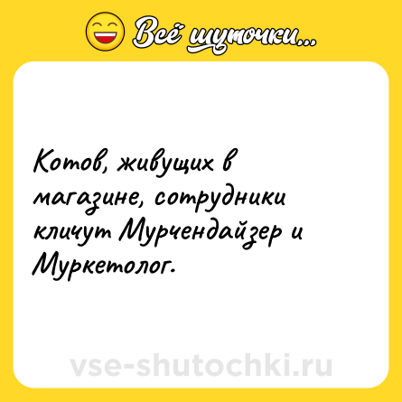 Шутка: Котов, живущих в магазине, сотрудники кличут Мурчендайзер и Муркетолог.