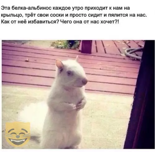 Смешная картинка №336691 #приколы #картинки #мемы ?