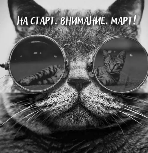 Смешная картинка №335896 март