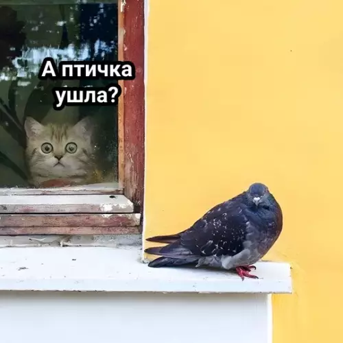 Смешная картинка №742195