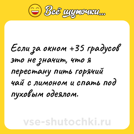 Шутка: Если за окном +35 градусов это не значит, что я перестану пить горячий чай с лимоном и спать под пуховым одеялом.