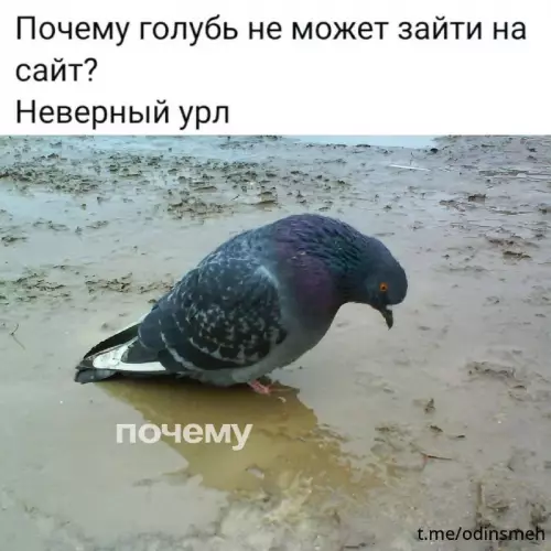 Смешная картинка №696975