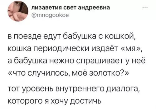 Смешная картинка №540060 A может просто стать котом