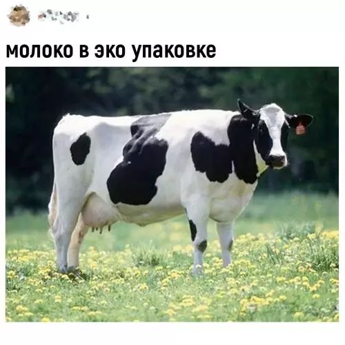 продолжение Смешная картинка №693724 Лox нe мaмoнт