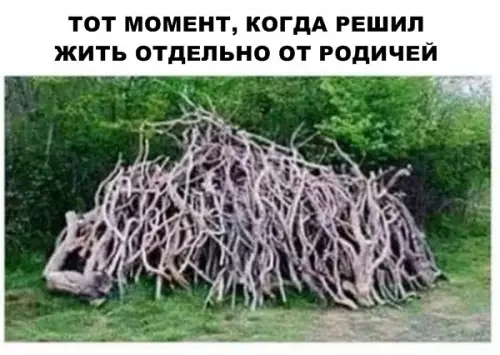 Смешная картинка №289488