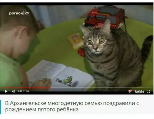 Смешная картинка №246159