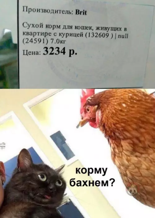 Смешная картинка №629138 Или это про хозяйку?))