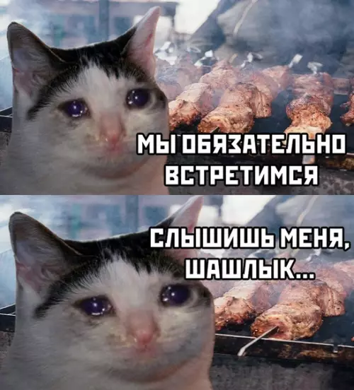 Смешная картинка №489498