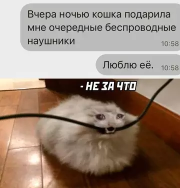 Смешная картинка №744200