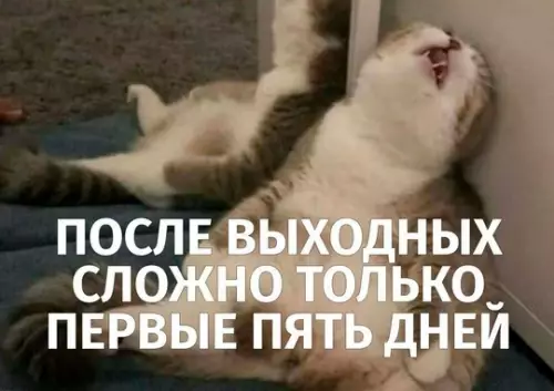 Смешная картинка №736068