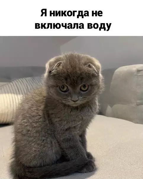 продолжение Смешная картинка №559530 Coвмecтнaя жизнь