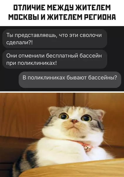 Смешная картинка №507215